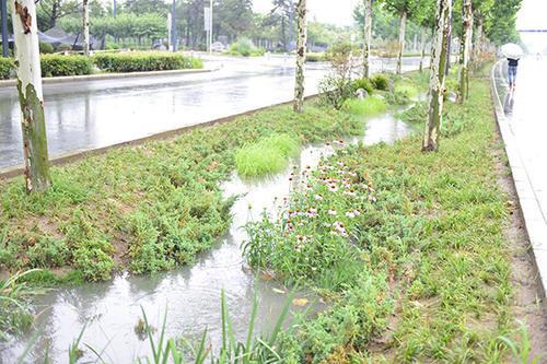 秦皇大道雨水收集系統(tǒng)